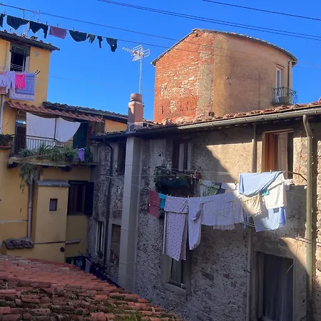 Casa Max Lucca